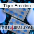 Tiger Erection 20